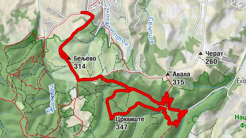 Carte