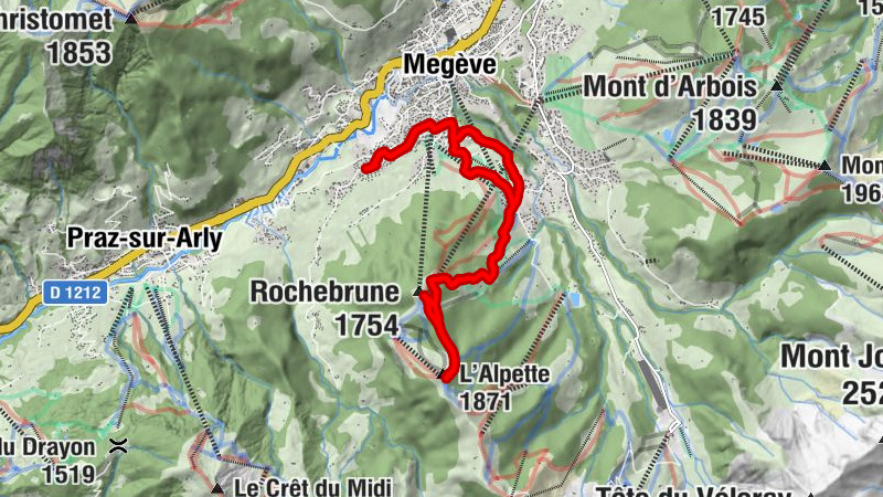 Carte