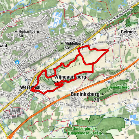 Wezemaal - Sint-Martinuskerk - Wijngaardberg