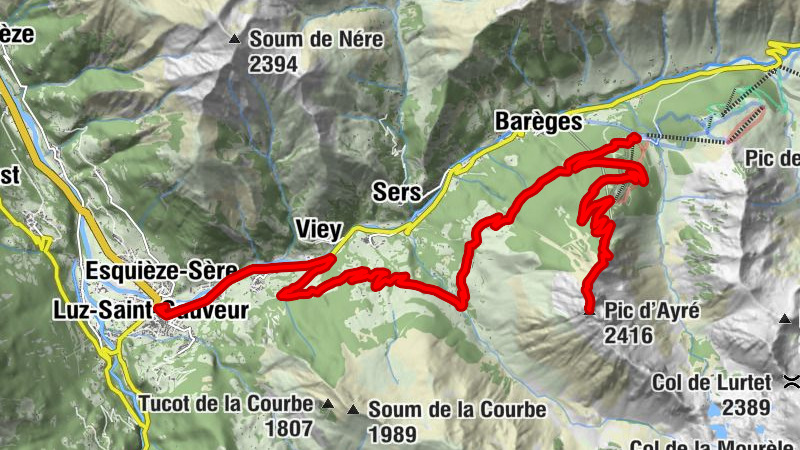 Carte