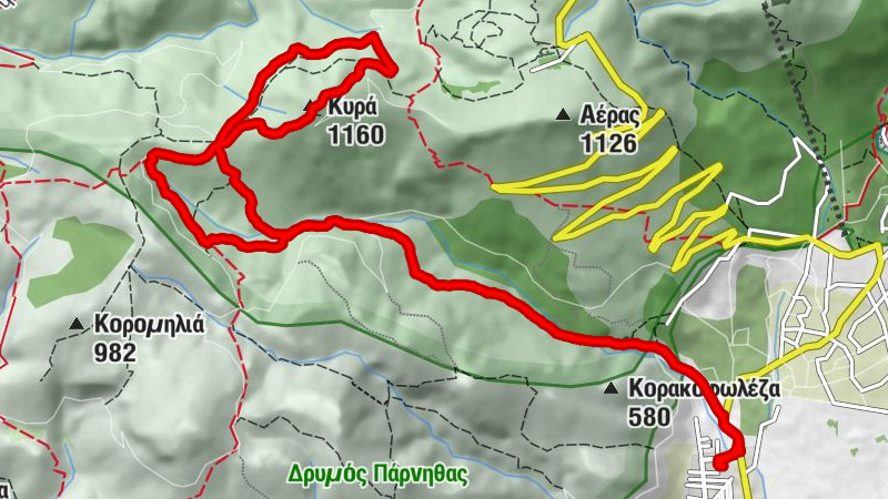 Carte