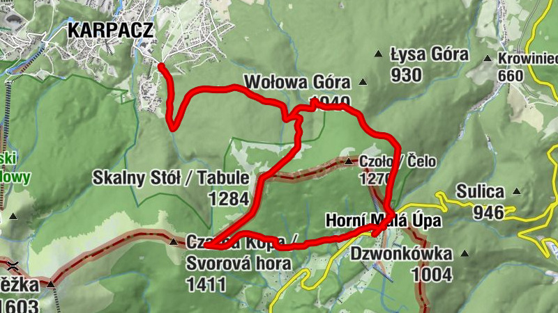 Carte