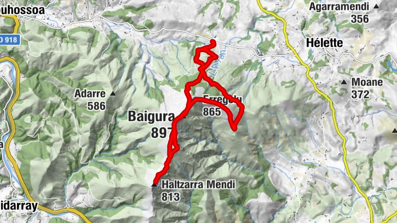 Carte