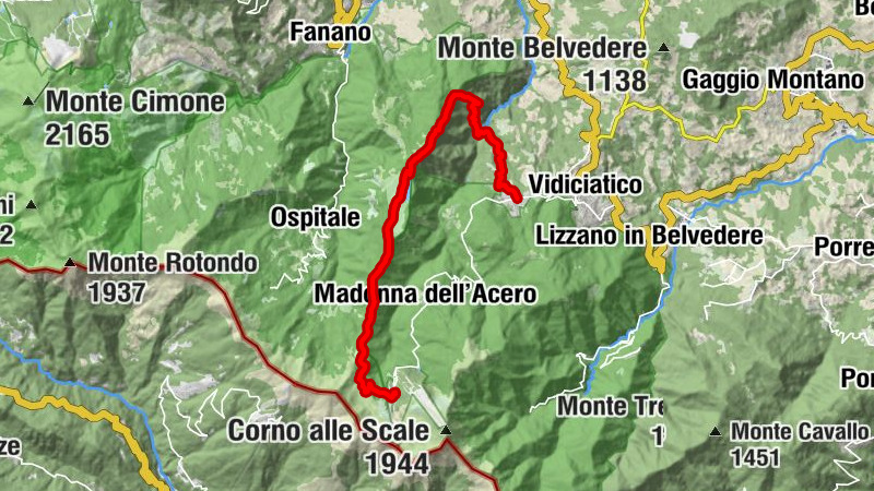 Carte