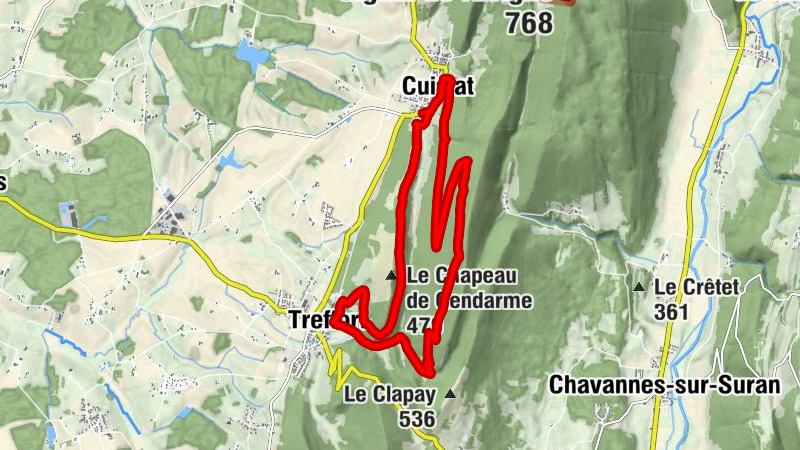 Carte