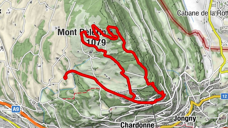 Carte