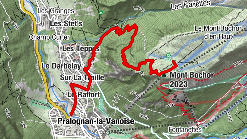 Carte