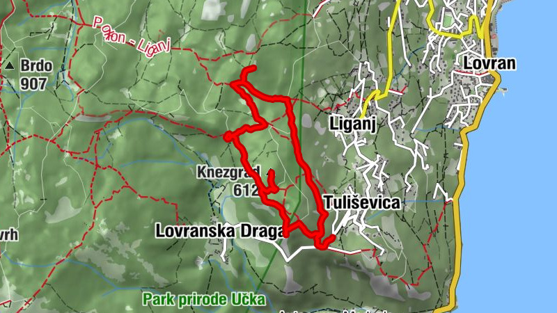 Carte