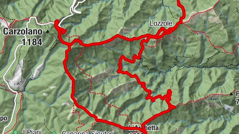 Carte