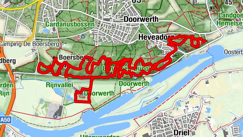 Carte