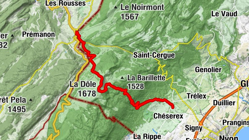 Carte