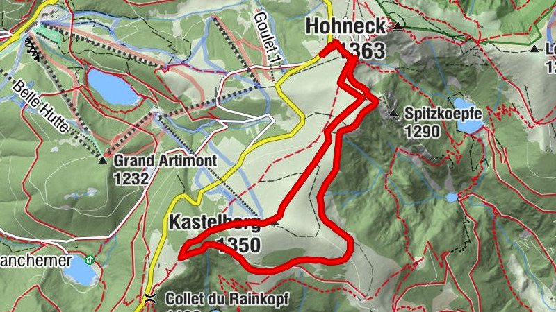 Carte