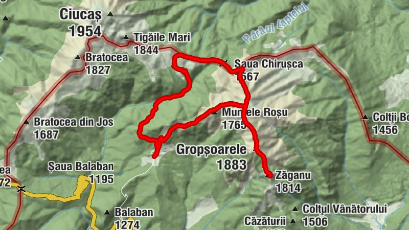 Carte