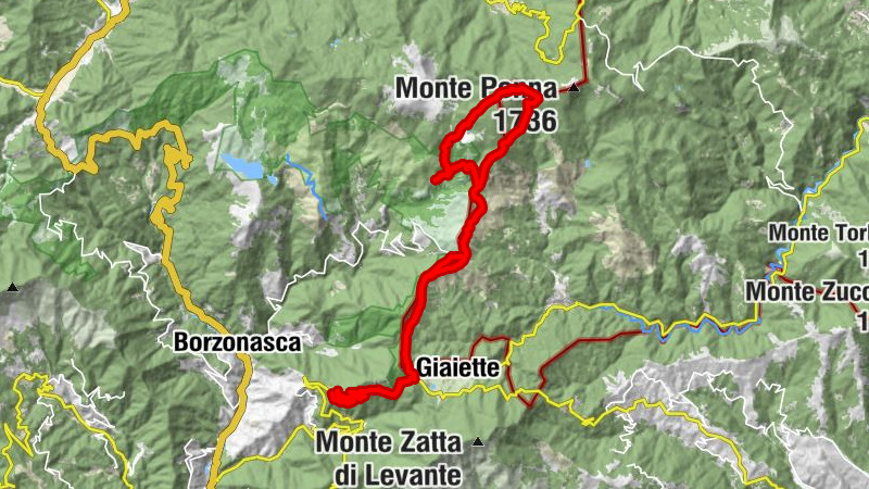 Carte