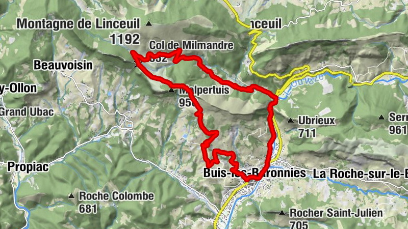 Carte