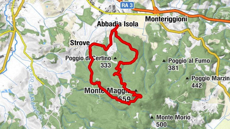 Carte