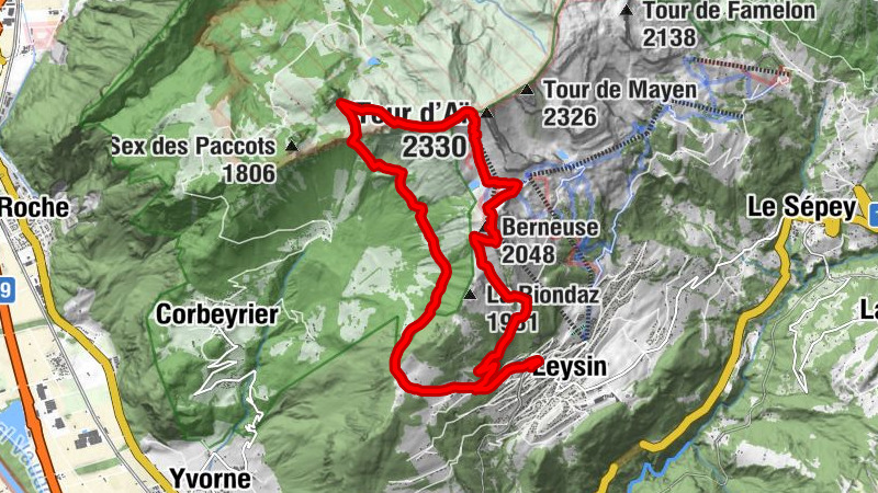 Carte