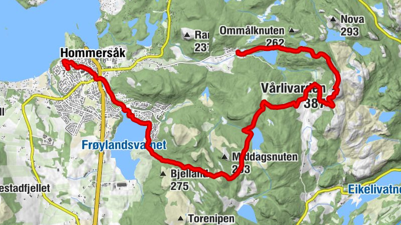 Carte