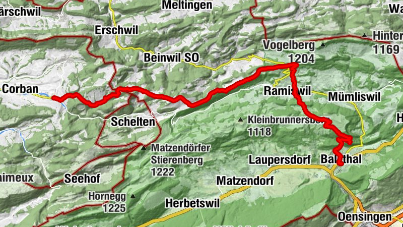 Carte