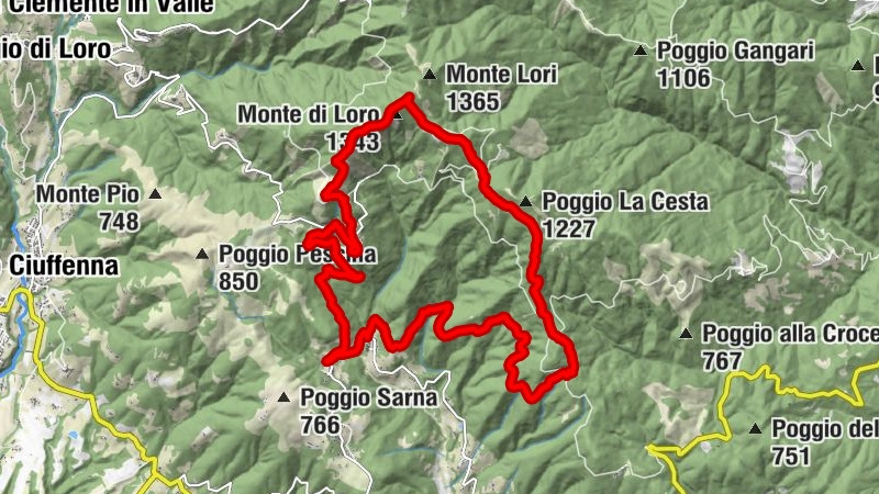 Carte