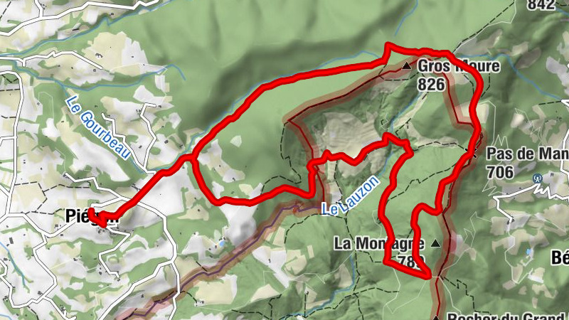 Carte