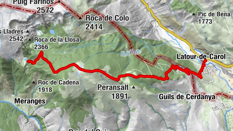 Carte