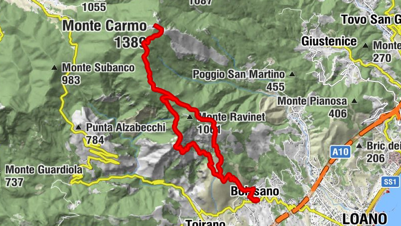 Carte
