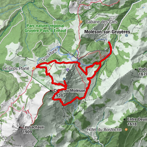 La Pierre à Catillion - Le Moléson - Moléson-sur-Gruyères - Vestige de La Pierre à Catillion