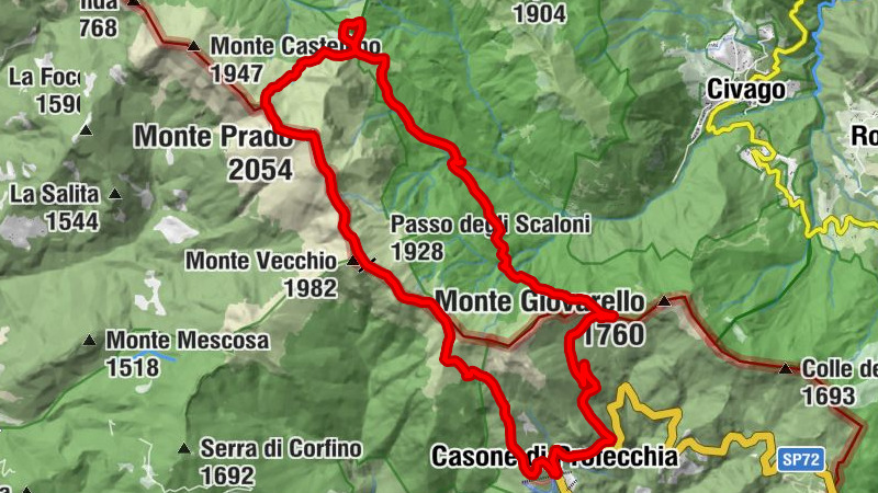 Carte