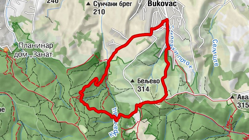 Carte