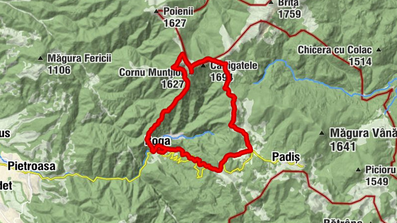Carte