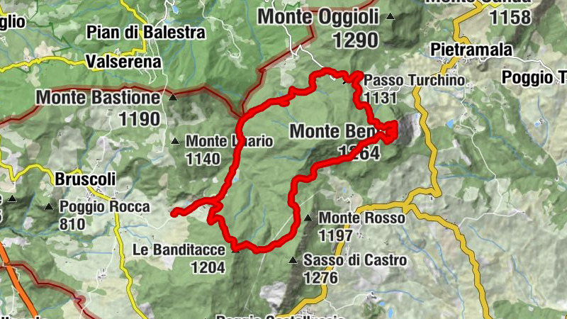 Carte