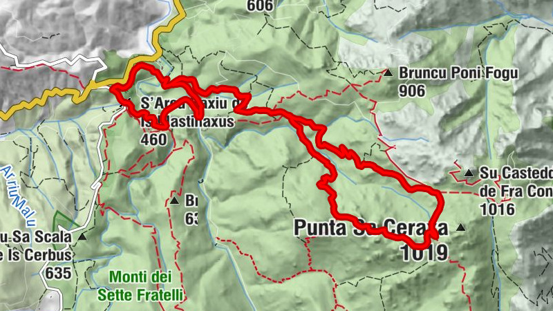 Carte