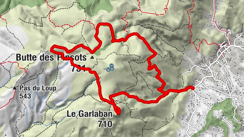 Carte