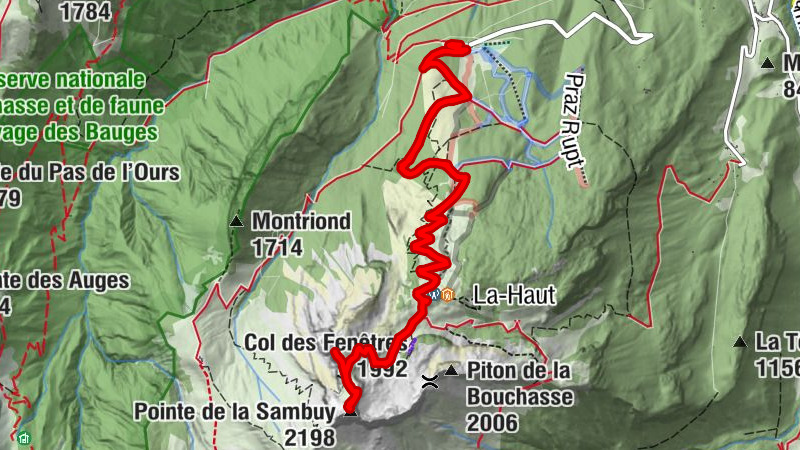 Carte