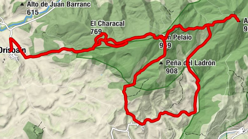 Carte