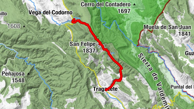 Carte
