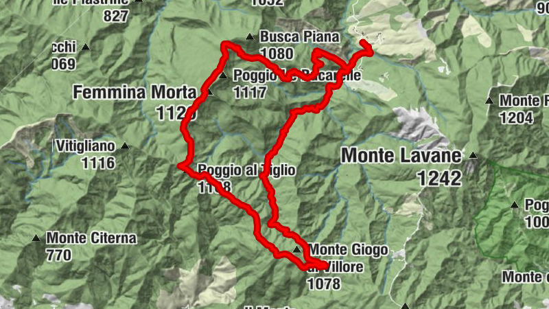 Carte