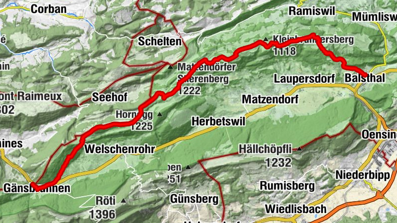 Carte