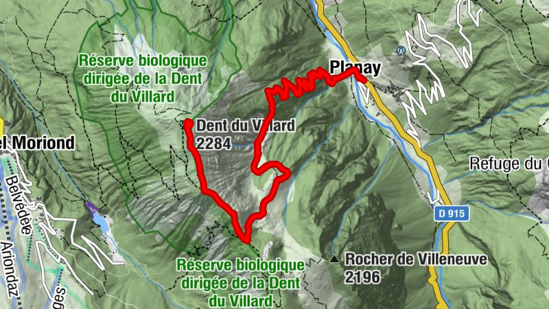 Carte