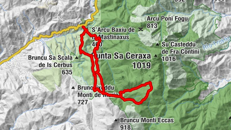 Carte