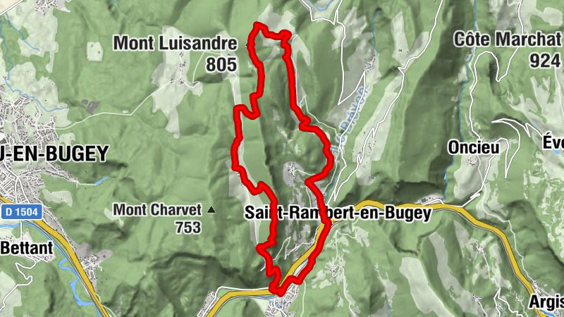 Carte