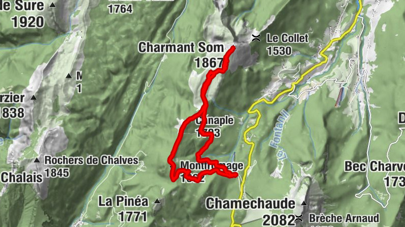 Carte