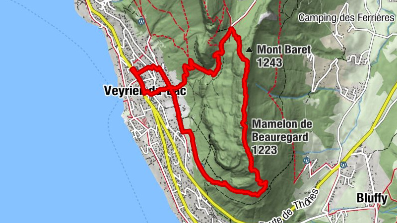 Carte