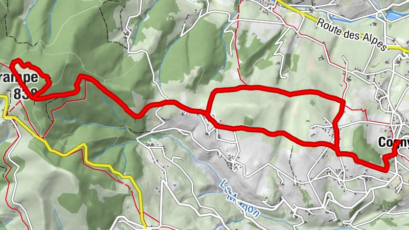 Carte