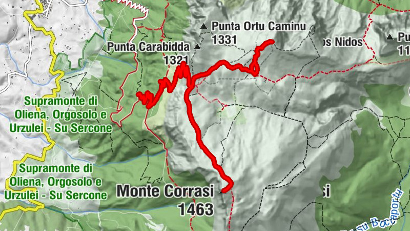 Carte