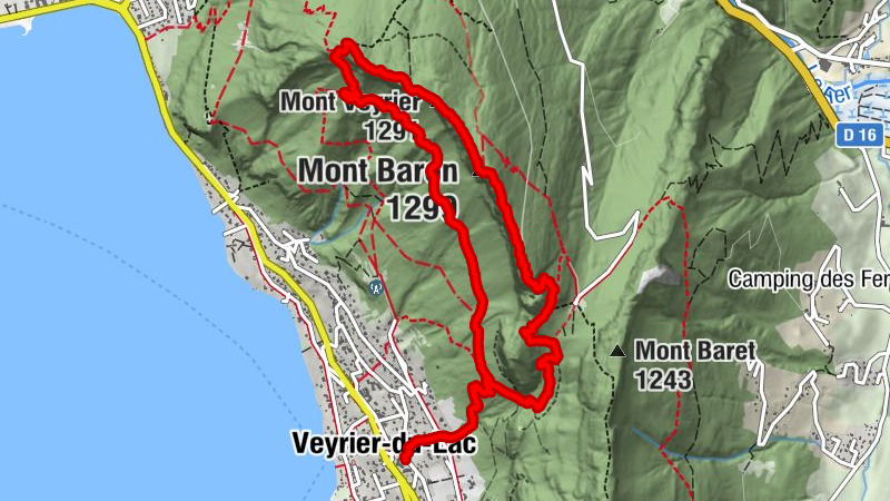 Carte