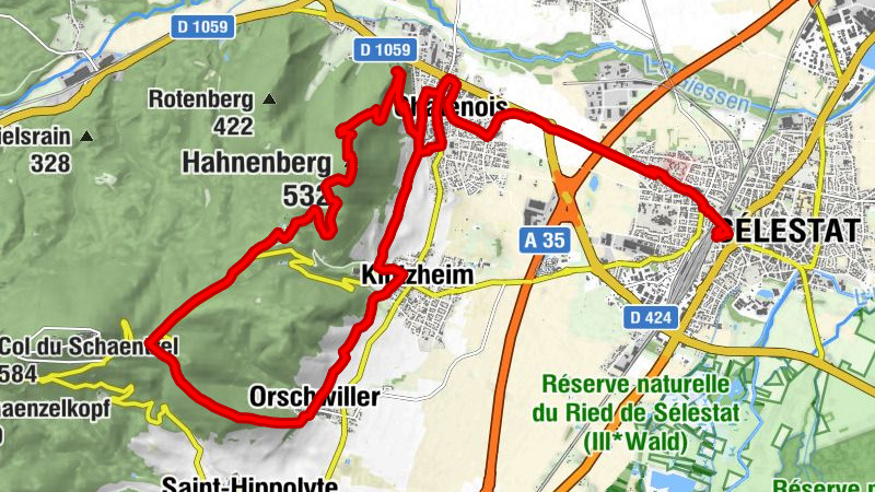 Carte