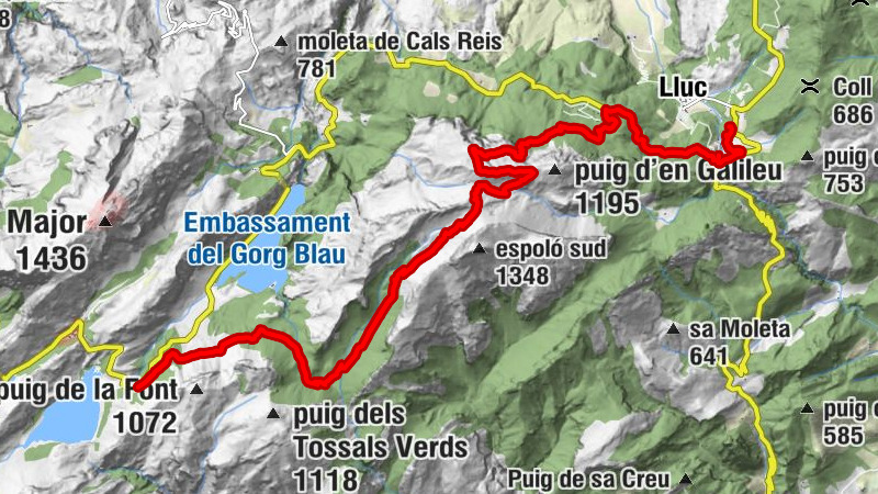 Carte
