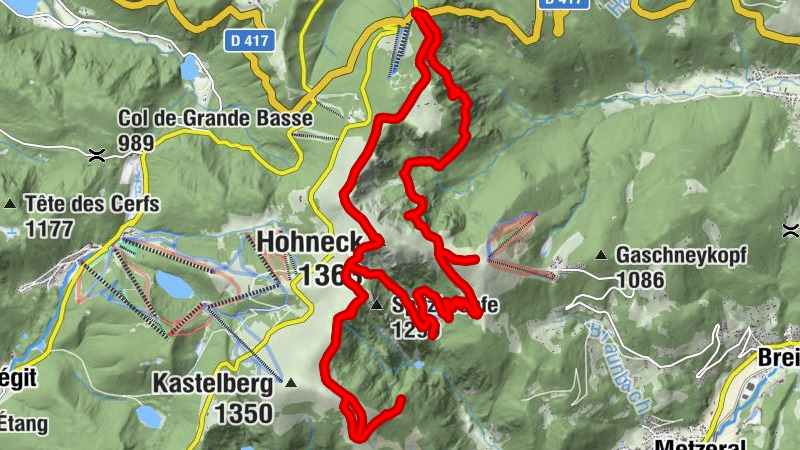 Carte